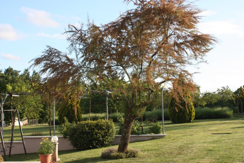 Apartment Borna Pazin Εξωτερικό φωτογραφία
